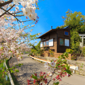 シンケン「完成見学会」