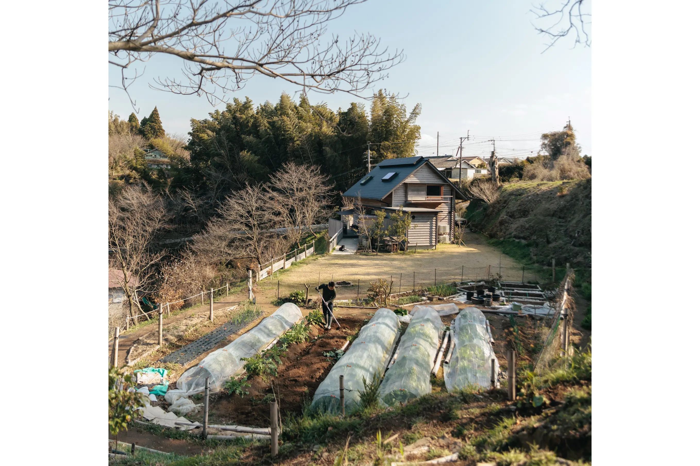 シンケン「暮らしの見学会」