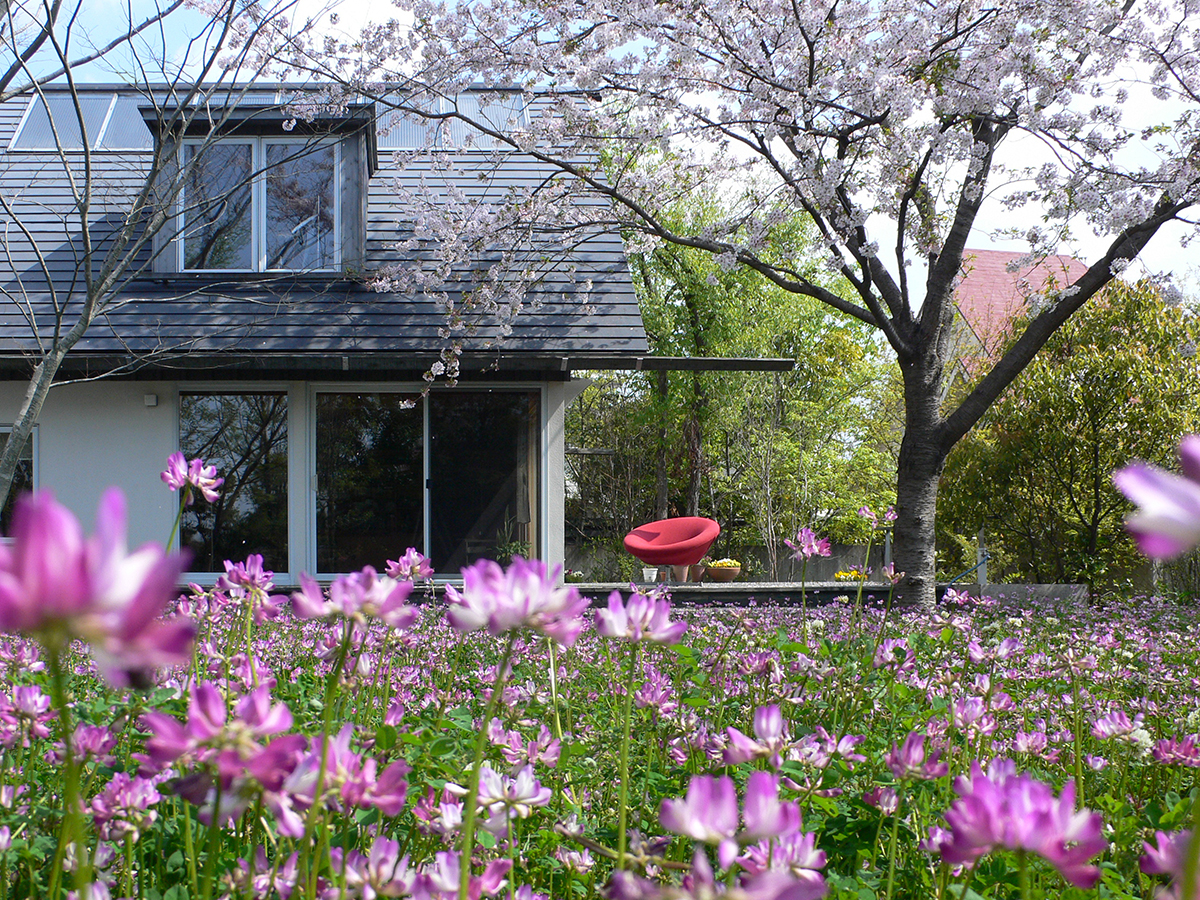 シンケン「暮らしの見学会」