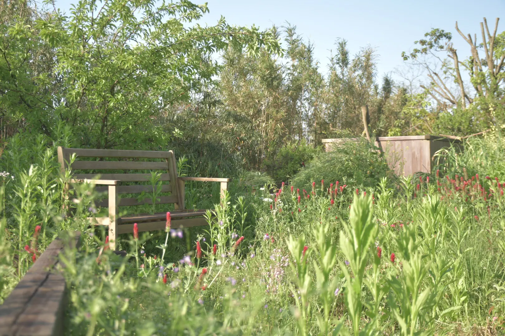 シンケン「暮らしの見学会」